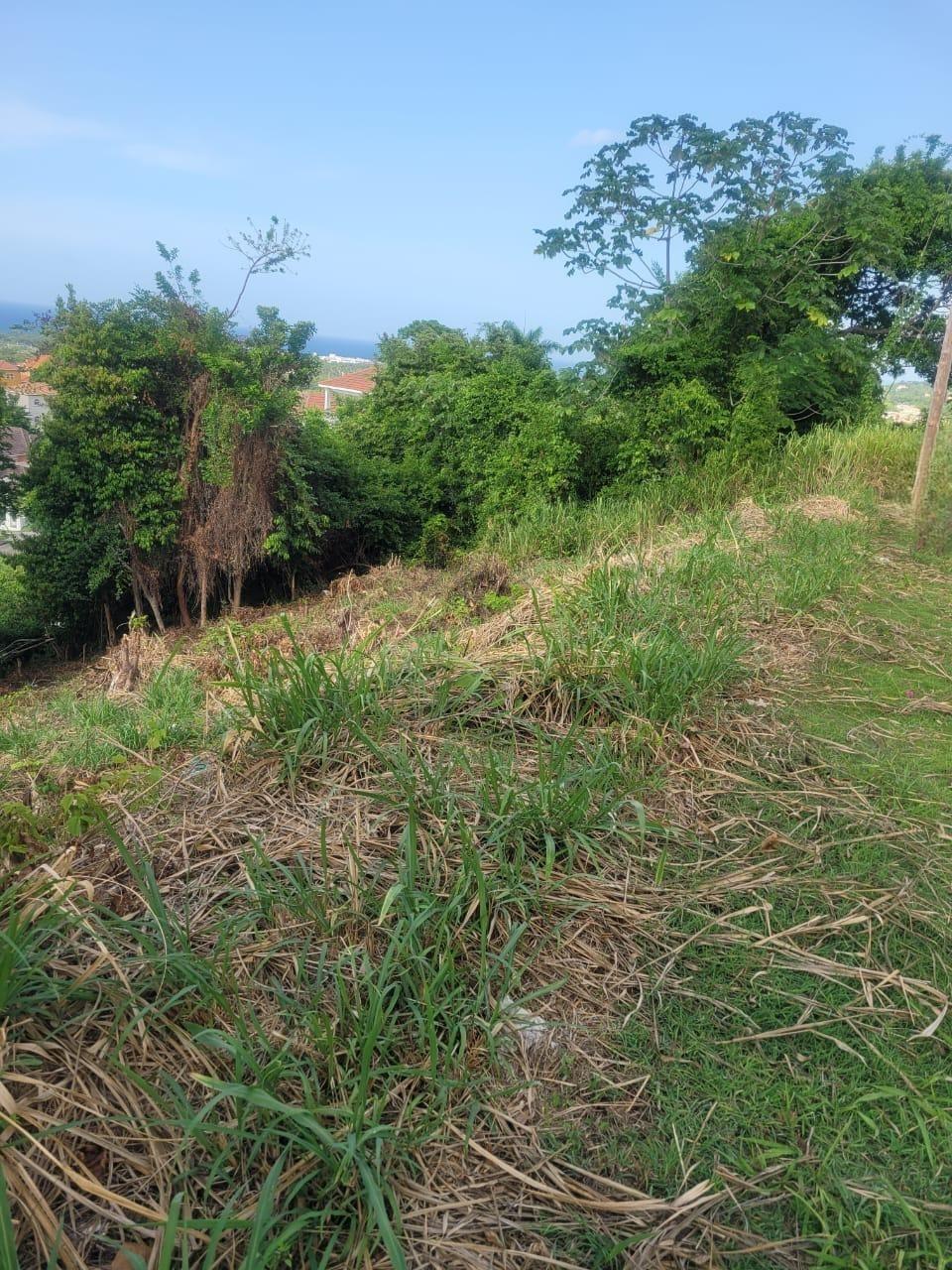 Thirteenth image of Vista Del Mar, Genova dr in Ocho Rios, St. Ann, Jamaica - property is For Sale