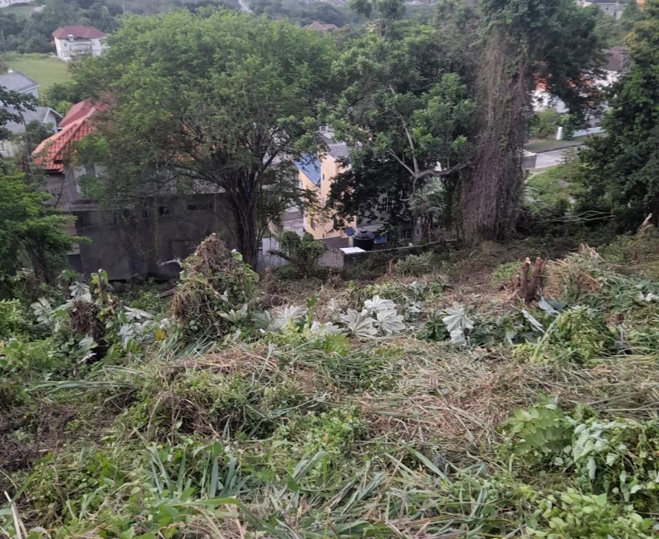 Fourteenth image of Vista Del Mar, Genova dr in Ocho Rios, St. Ann, Jamaica - property is For Sale