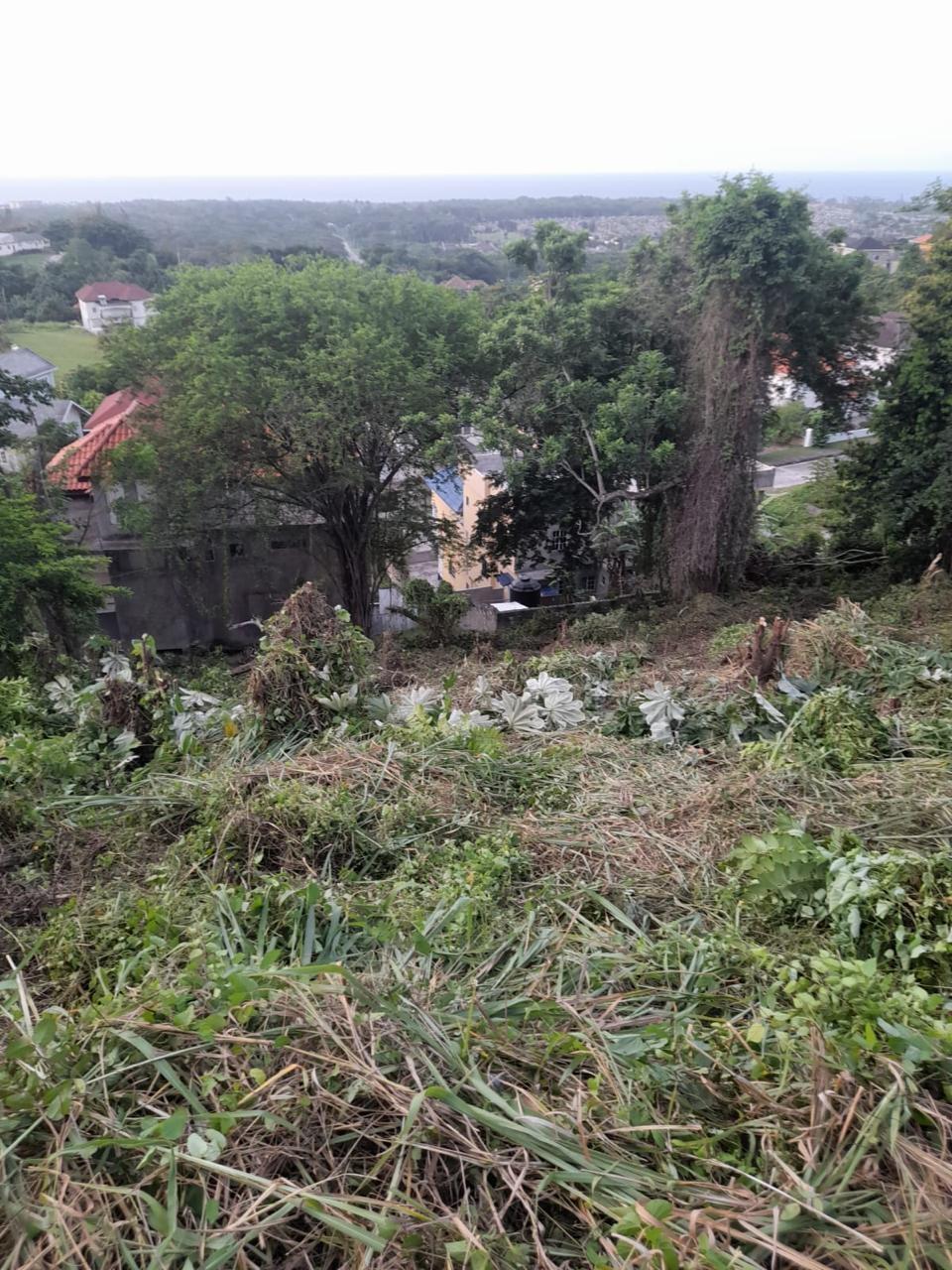 Fourteenth image of Vista Del Mar, Genova dr in Ocho Rios, St. Ann, Jamaica - property is For Sale