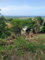 First image of Vista Del Mar, Genova dr in Ocho Rios, St. Ann, Jamaica - property is For Sale