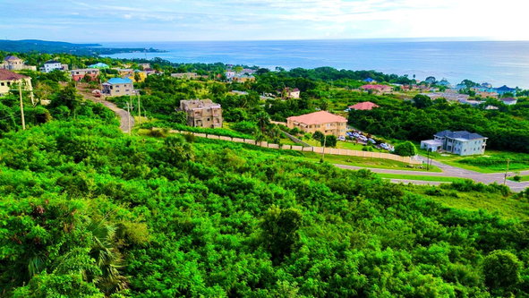 Second image of 58 Whitehouse in White House WD, Westmoreland, Jamaica - property is For Sale