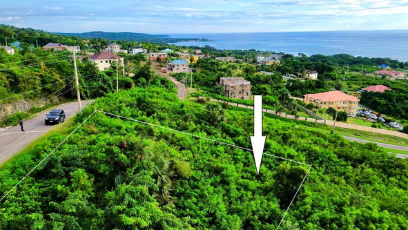 Fourth image of 58 Whitehouse in White House WD, Westmoreland, Jamaica - property is For Sale
