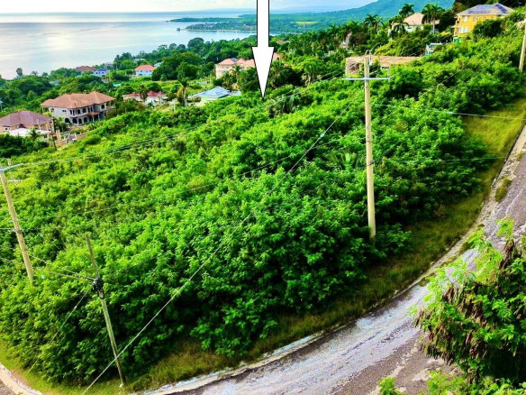 First image of 58 Whitehouse in White House WD, Westmoreland, Jamaica - property is For Sale