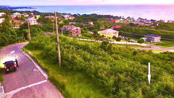 Seventh image of 58 Whitehouse in White House WD, Westmoreland, Jamaica - property is For Sale