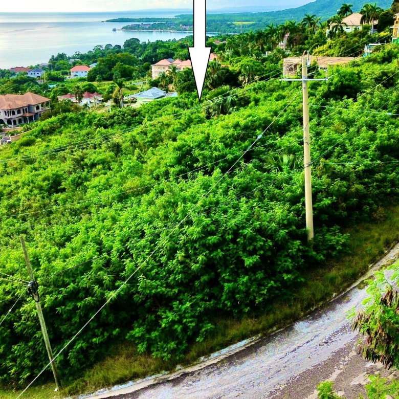 First image of 58 Whitehouse in White House WD, Westmoreland, Jamaica - property is For Sale