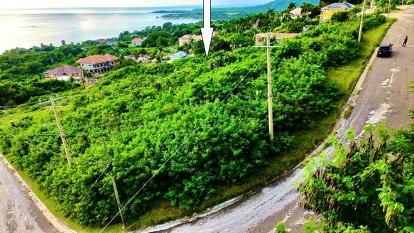 First image of 58 Whitehouse in White House WD, Westmoreland, Jamaica - property is For Sale