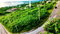 First image of 58 Whitehouse in White House WD, Westmoreland, Jamaica - property is For Sale