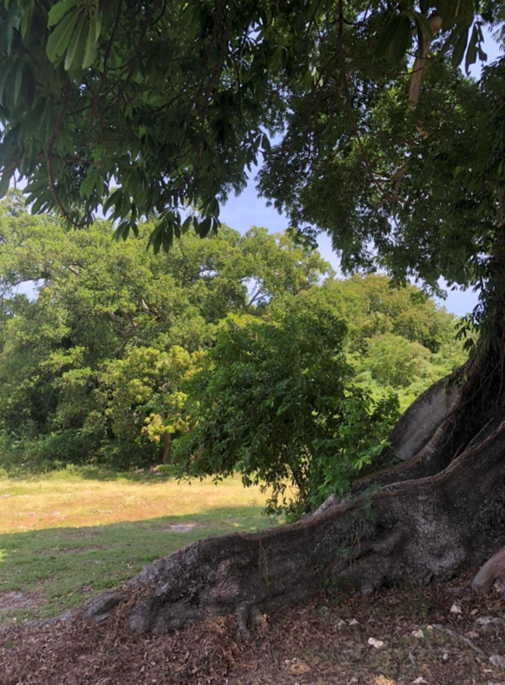 Premium-7832-sq-ft-Sea-View-Lot-in-Gated-Mahogany-Hill-Homes-St.-Ann-Jamaica Seventh image of Mahogany Hill Homes, Che in Chester, St. Ann, Jamaica - property is For Sale