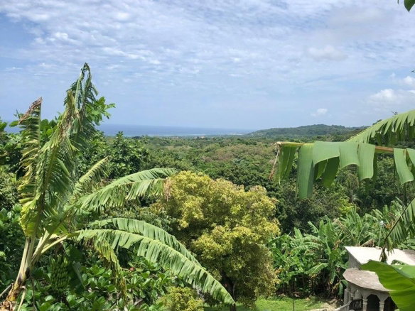 First image of Mahogany Hill Homes in Chester, St. Ann, Jamaica - property is For Sale