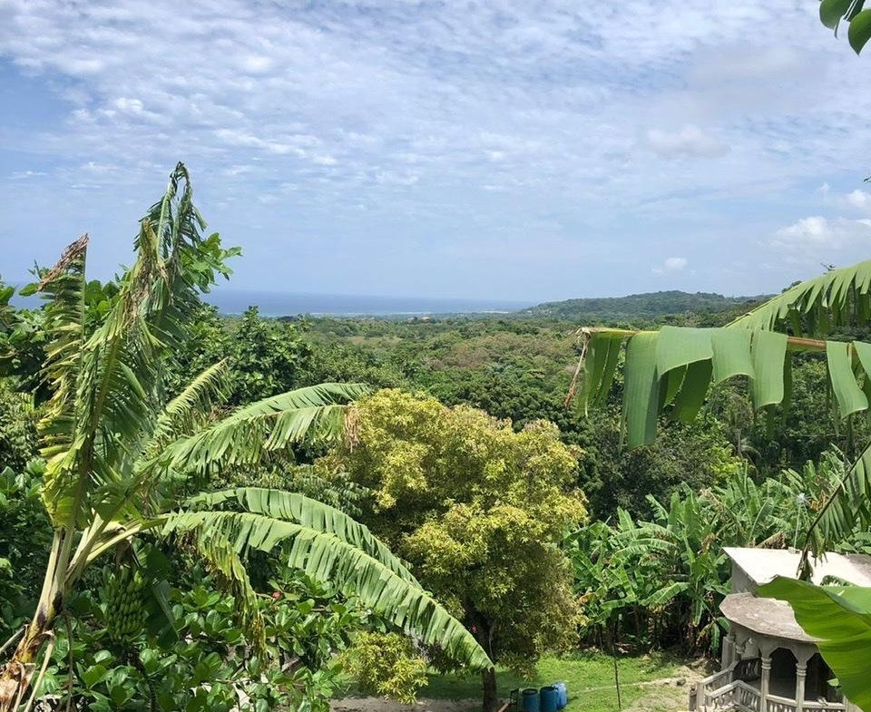 First image of Mahogany Hill Homes in Chester, St. Ann, Jamaica - property is For Sale