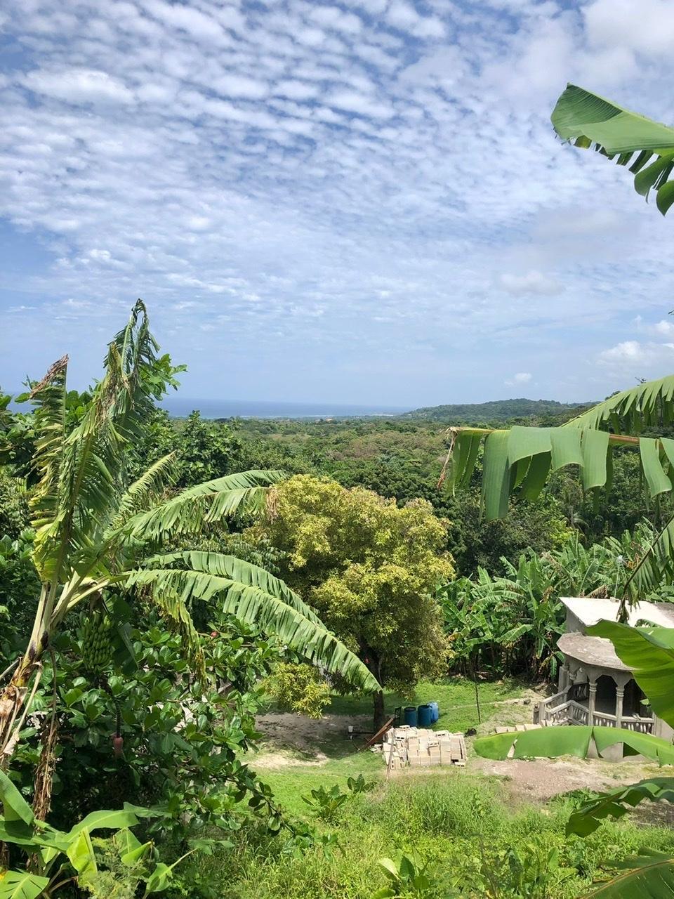 Premium-8063-sq-ft-Mountain-View-Lot-for-Sale-at-Mahogany-Hill-Homes-St.-Ann-Jamaica First image of Mahogany Hill Homes in Chester, St. Ann, Jamaica - property is For Sale