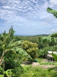 First image of Mahogany Hill Homes in Chester, St. Ann, Jamaica - property is For Sale