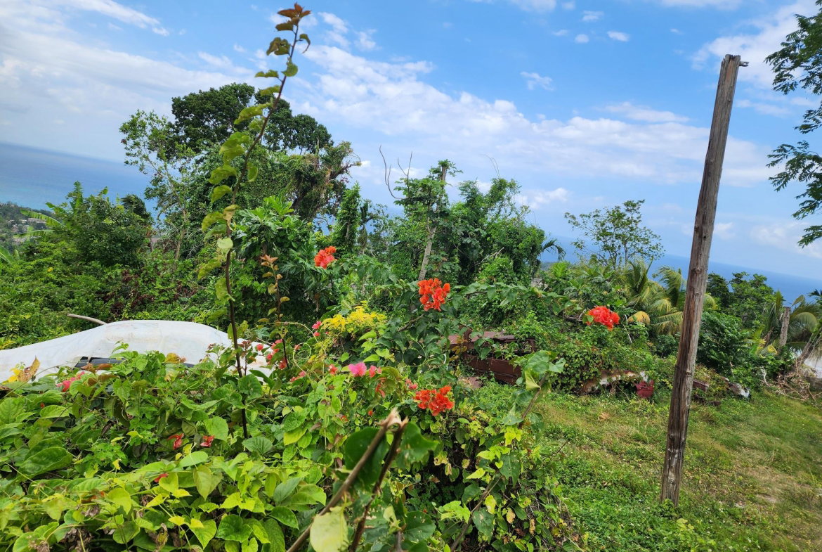 Second image of Mcquarrie, Hopewell in McQuarrie, Hanover, Jamaica - property is For Sale