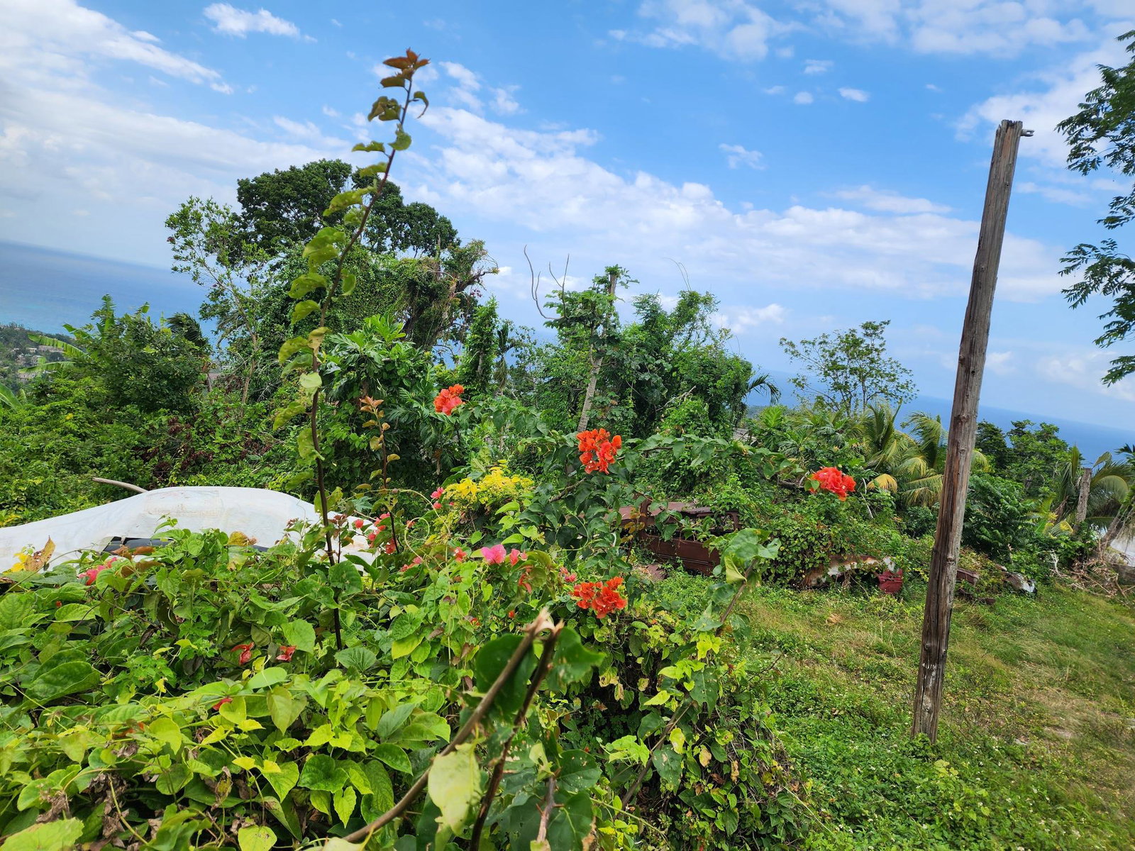 Prime-13-Acre-Residential-Lot-for-Sale-in-McQuarrie-Hopewell-Hanover Second image of Mcquarrie, Hopewell in McQuarrie, Hanover, Jamaica - property is For Sale
