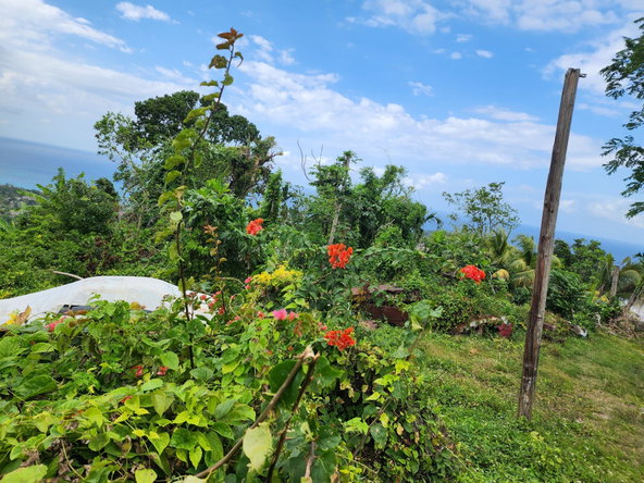 Second image of Mcquarrie, Hopewell in McQuarrie, Hanover, Jamaica - property is For Sale