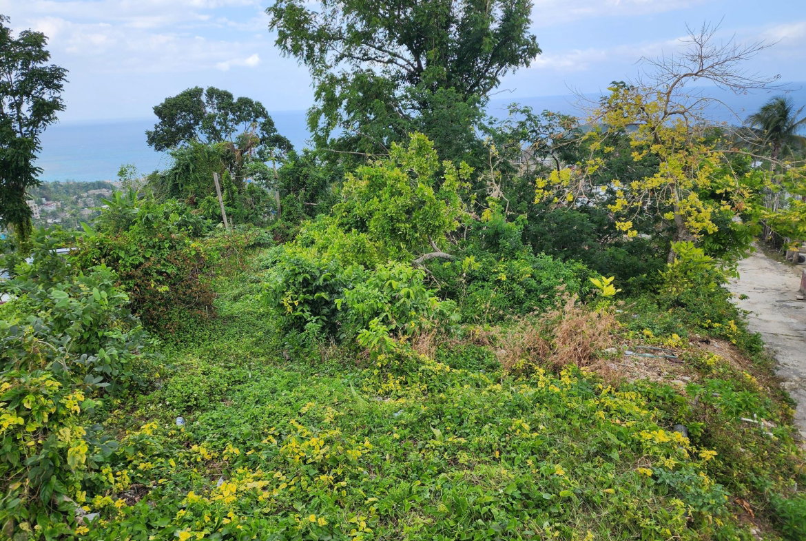 Third image of Mcquarrie, Hopewell in McQuarrie, Hanover, Jamaica - property is For Sale