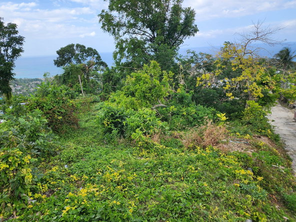Third image of Mcquarrie, Hopewell in McQuarrie, Hanover, Jamaica - property is For Sale