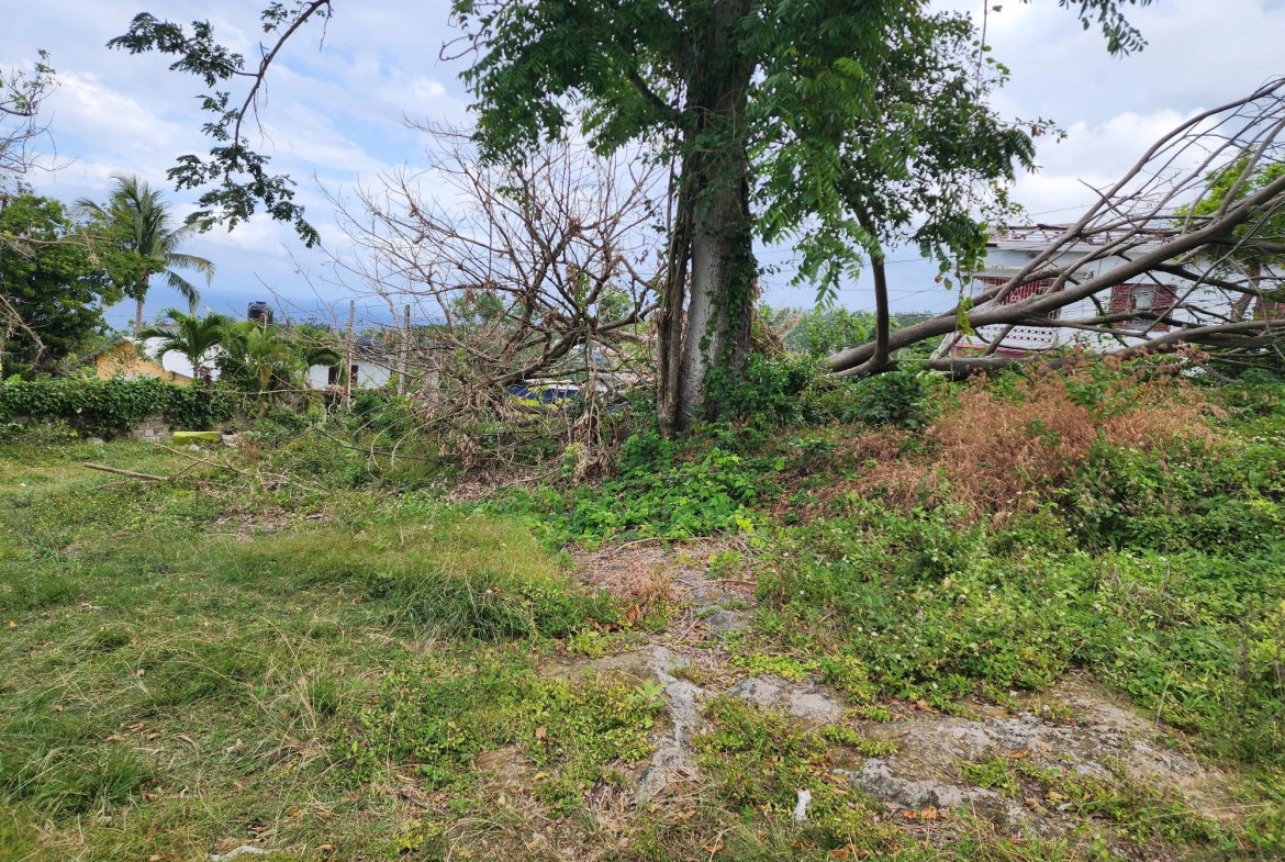 Fourth image of Mcquarrie, Hopewell in McQuarrie, Hanover, Jamaica - property is For Sale
