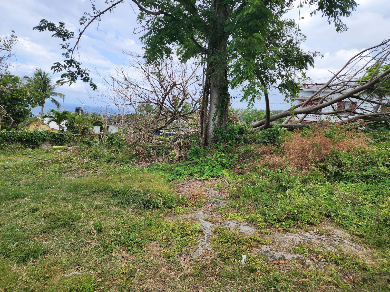 Prime-13-Acre-Residential-Lot-for-Sale-in-McQuarrie-Hopewell-Hanover Fourth image of Mcquarrie, Hopewell in McQuarrie, Hanover, Jamaica - property is For Sale