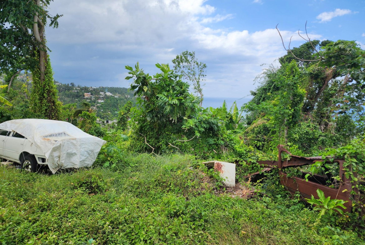 Fifth image of Mcquarrie, Hopewell in McQuarrie, Hanover, Jamaica - property is For Sale