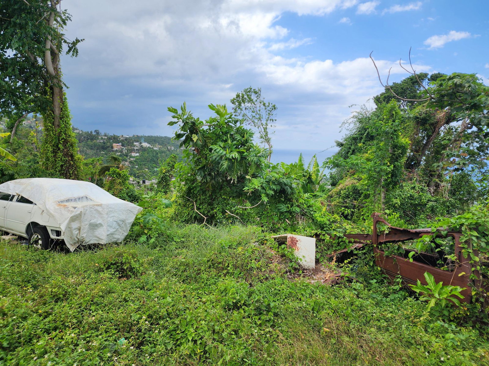 Prime-13-Acre-Residential-Lot-for-Sale-in-McQuarrie-Hopewell-Hanover Fifth image of Mcquarrie, Hopewell in McQuarrie, Hanover, Jamaica - property is For Sale