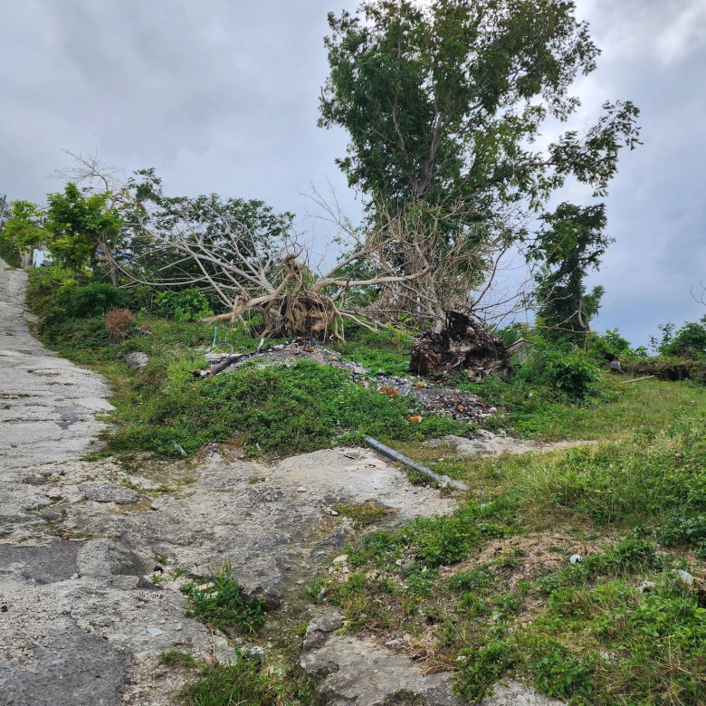 First image of Mcquarrie, Hopewell in McQuarrie, Hanover, Jamaica - property is For Sale