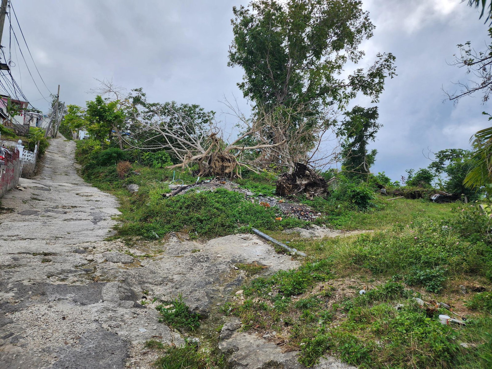 Prime-13-Acre-Residential-Lot-for-Sale-in-McQuarrie-Hopewell-Hanover First image of Mcquarrie, Hopewell in McQuarrie, Hanover, Jamaica - property is For Sale