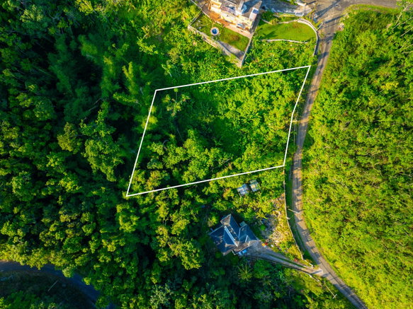 First image of 44 Shoucair Circle in Red Hills, St. Andrew, Jamaica - property is For Sale