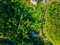 First image of 44 Shoucair Circle in Red Hills, St. Andrew, Jamaica - property is For Sale