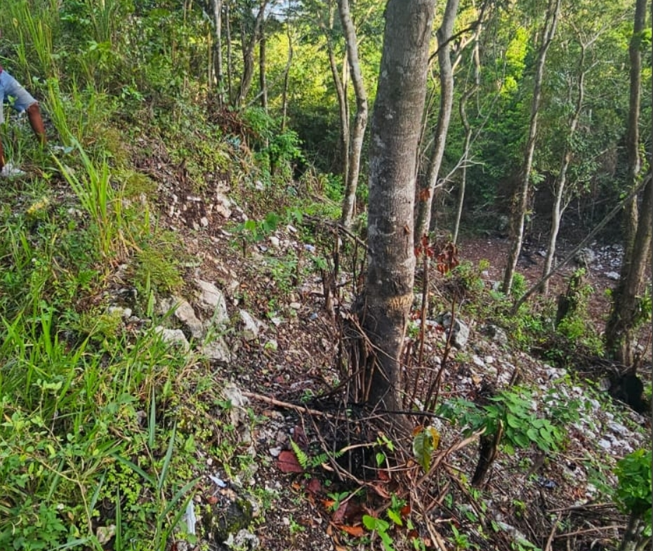 Second image of Swain Spring Road in Red Hills, St. Andrew, Jamaica - property is For Sale