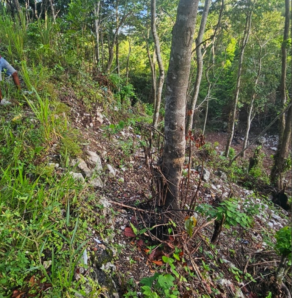 Prime-3.5-Acre-Residential-Lot-for-Sale-in-Red-Hills-St.-Andrew-Swain-Spring-Road Second image of Swain Spring Road in Red Hills, St. Andrew, Jamaica - property is For Sale