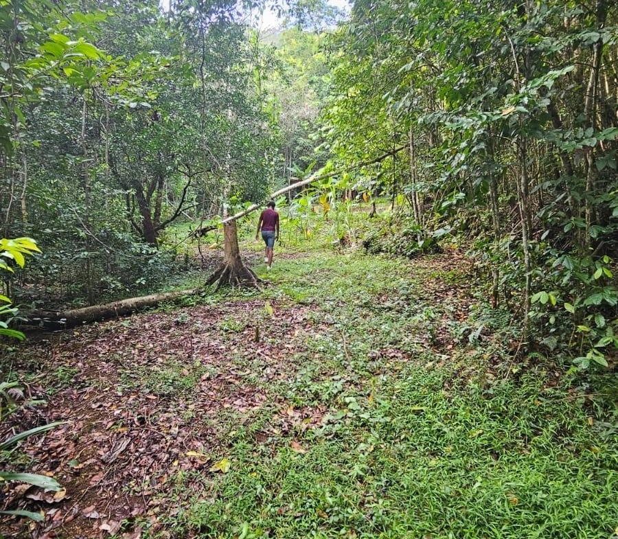 Third image of Swain Spring Road in Red Hills, St. Andrew, Jamaica - property is For Sale