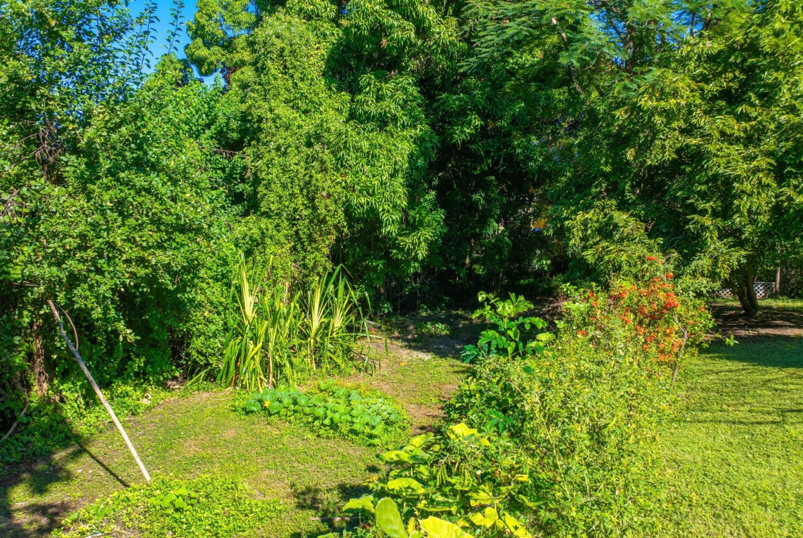 Fifth image of 5-5a Barbican in Kingston 6, St. Andrew, Jamaica - property is For Sale