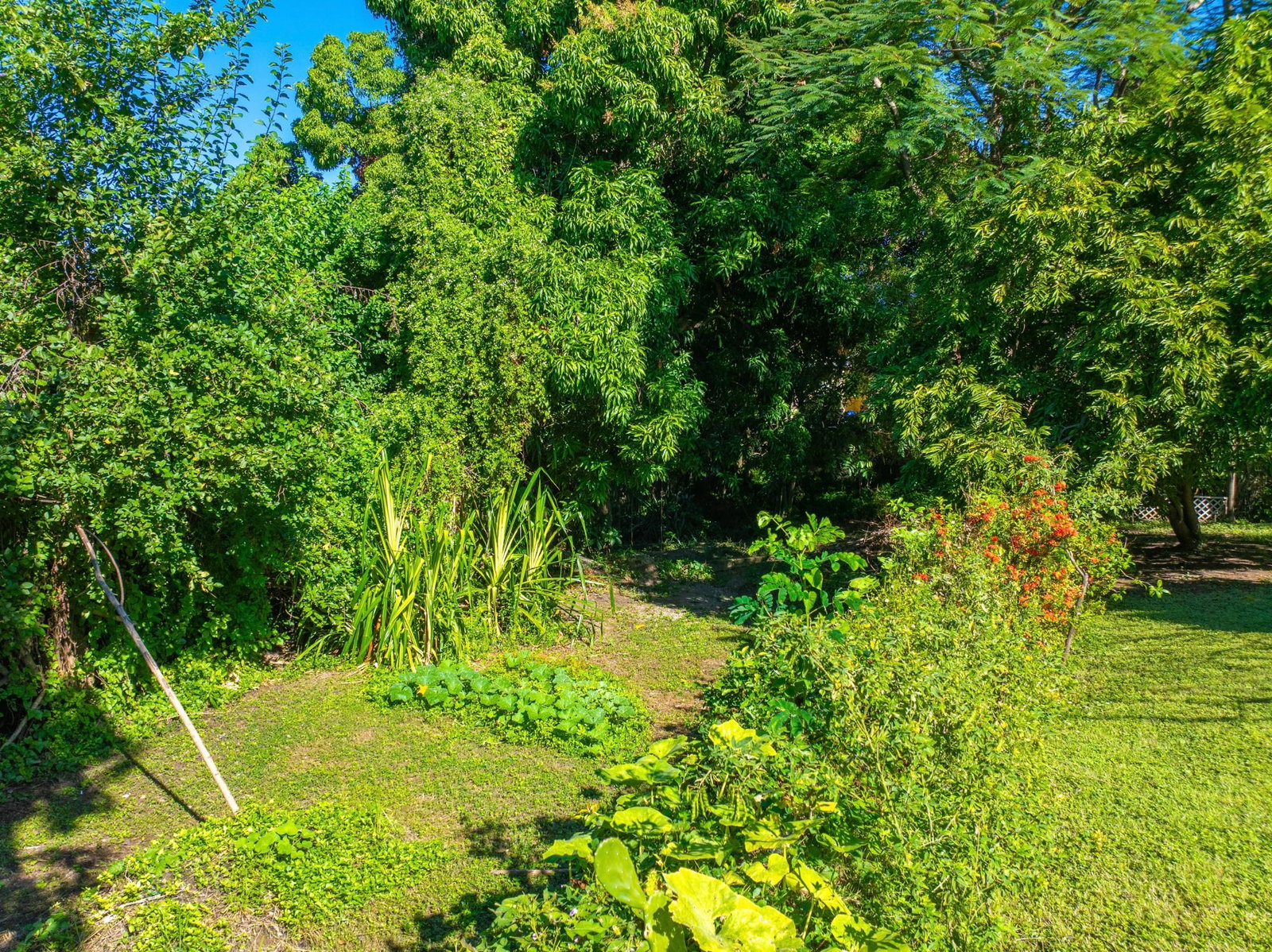 Fifth image of 5-5a Barbican in Kingston 6, St. Andrew, Jamaica - property is For Sale