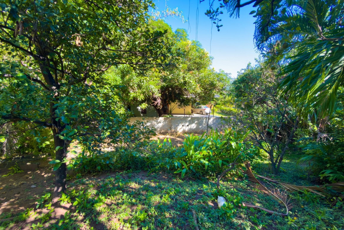 Sixth image of 5-5a Barbican in Kingston 6, St. Andrew, Jamaica - property is For Sale