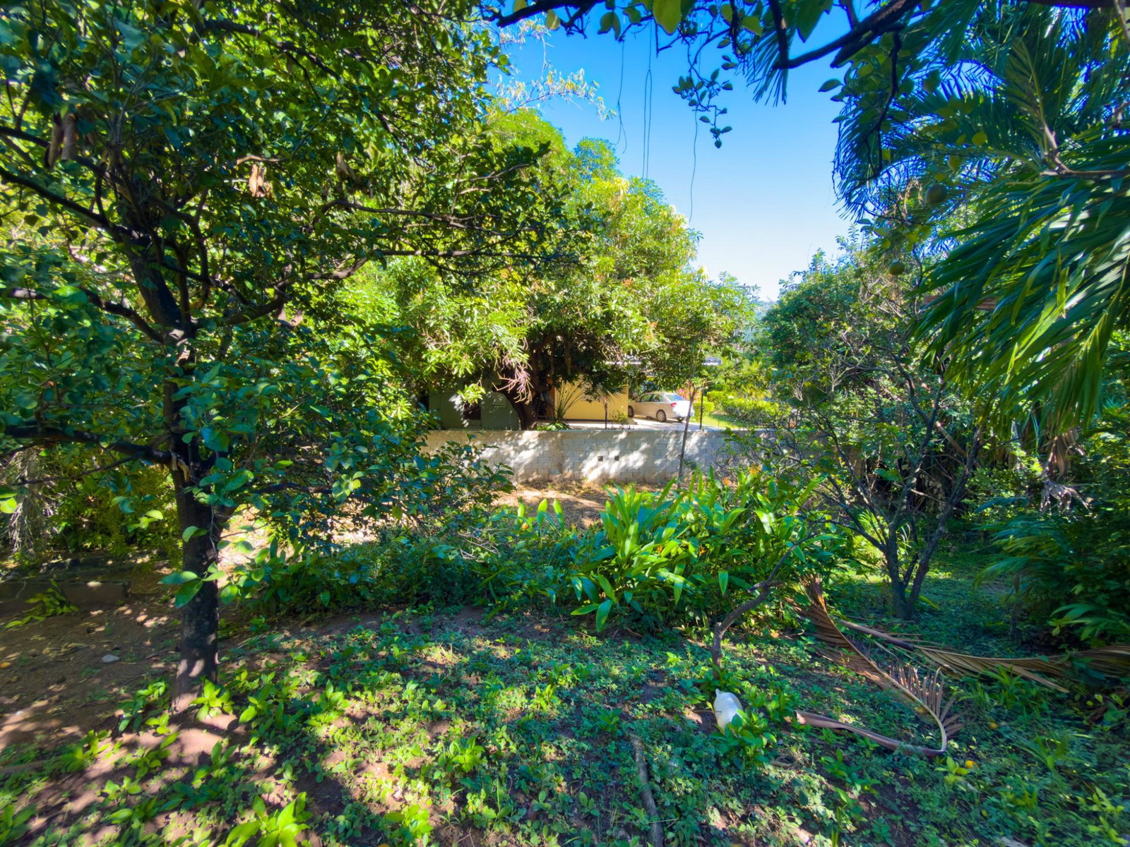 Sixth image of 5-5a Barbican in Kingston 6, St. Andrew, Jamaica - property is For Sale