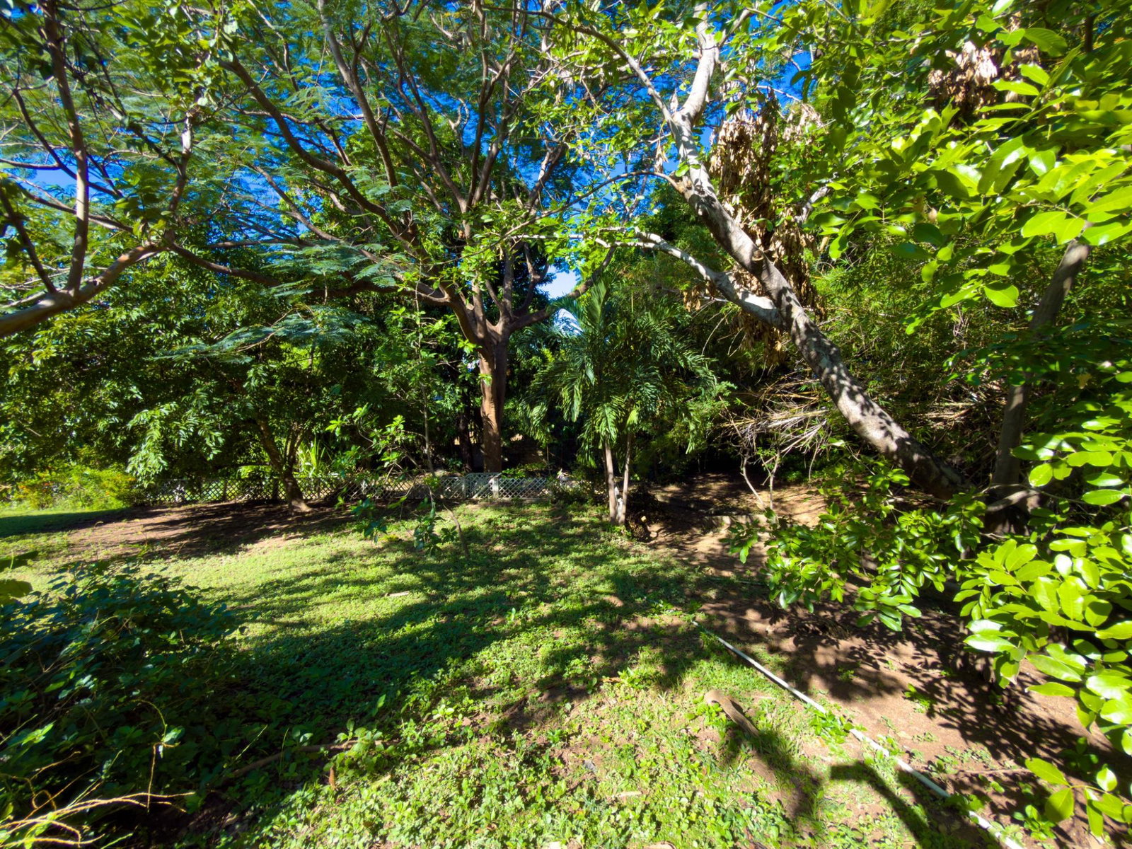 Seventh image of 5-5a Barbican in Kingston 6, St. Andrew, Jamaica - property is For Sale