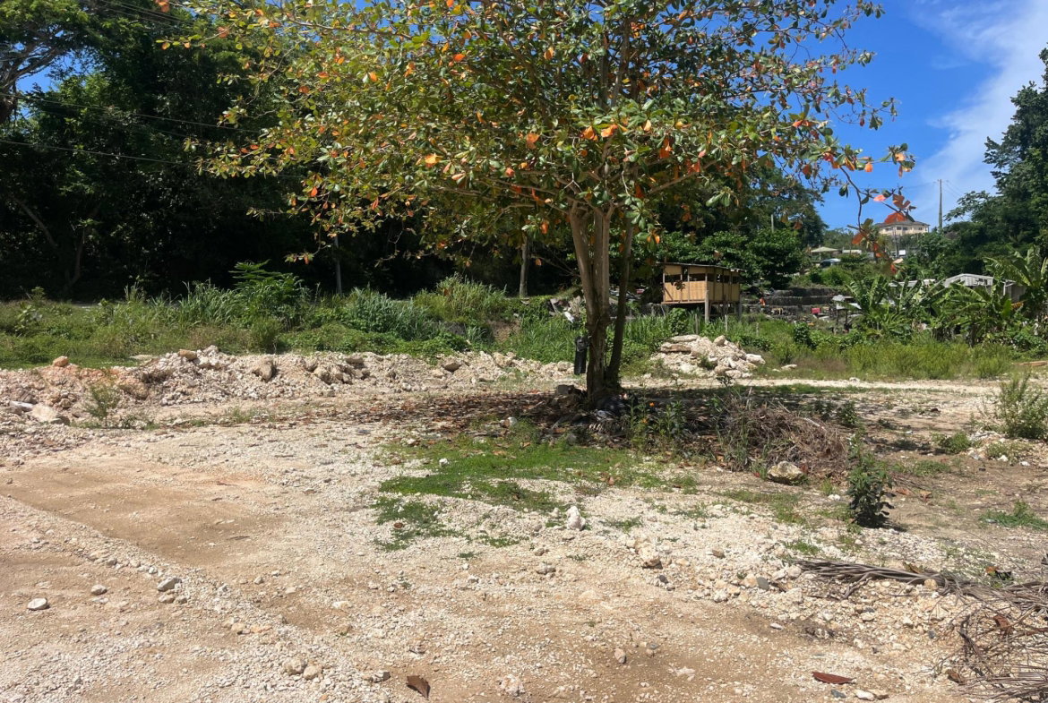 Sixth image of 6b Rio Nuevo, Spring Valley in Rio Nuevo, St. Mary, Jamaica - property is For Rent