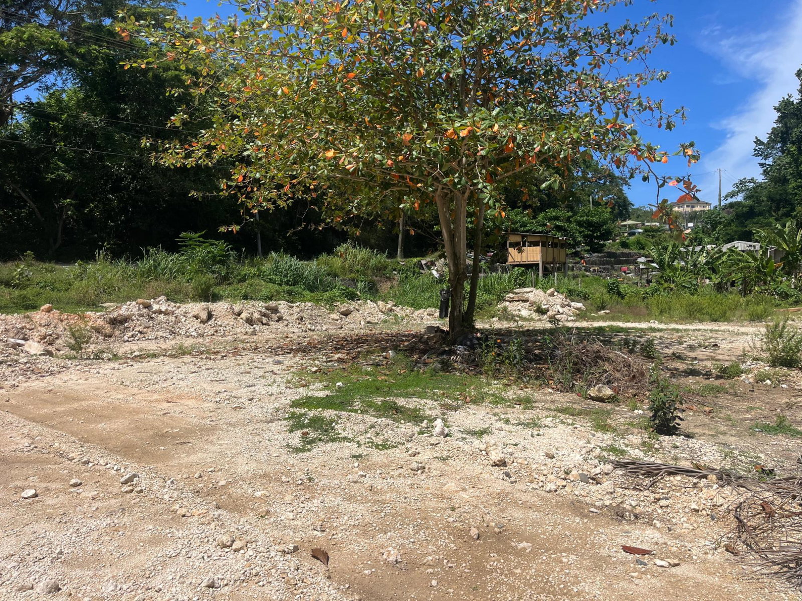 Sixth image of 6b Rio Nuevo, Spring Valley in Rio Nuevo, St. Mary, Jamaica - property is For Rent