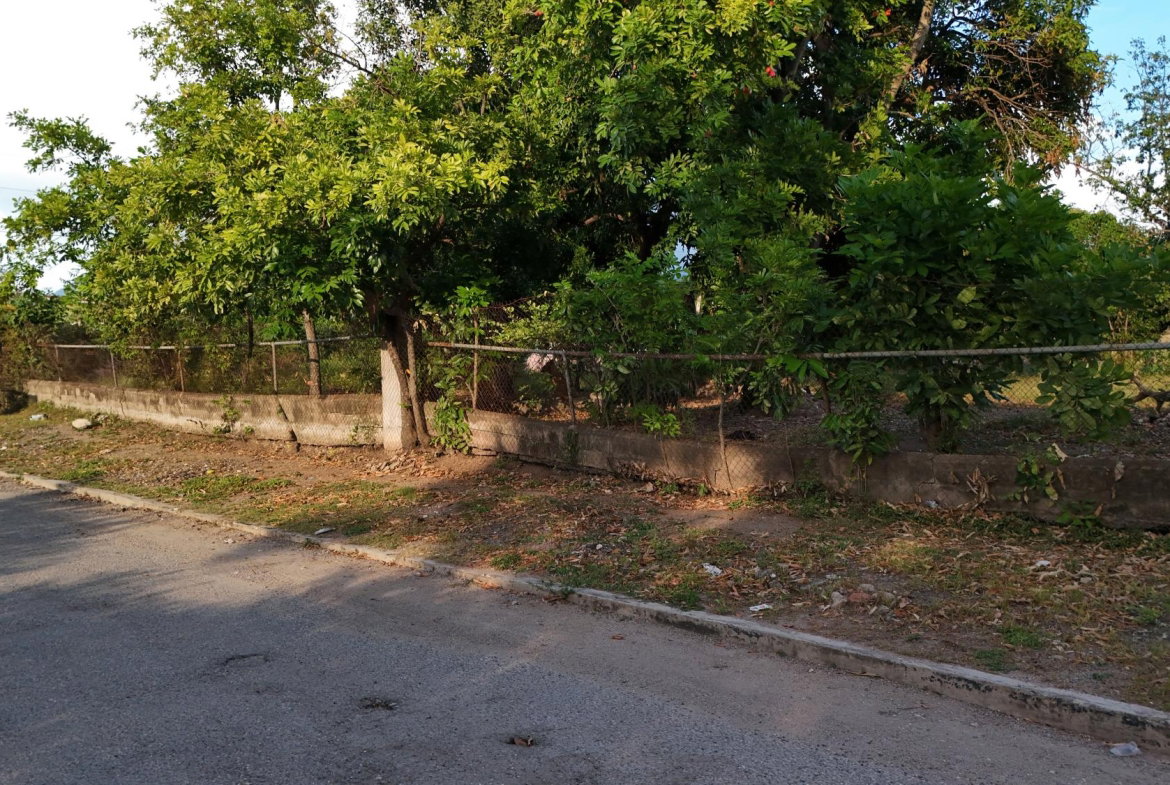 Second image of 15 Ascot Avenue in Kingston 10, St. Andrew, Jamaica - property is For Rent