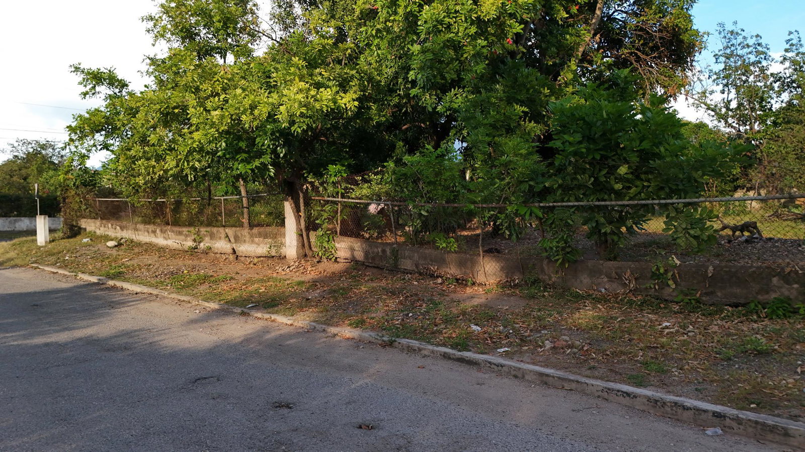 Second image of 15 Ascot Avenue in Kingston 10, St. Andrew, Jamaica - property is For Rent