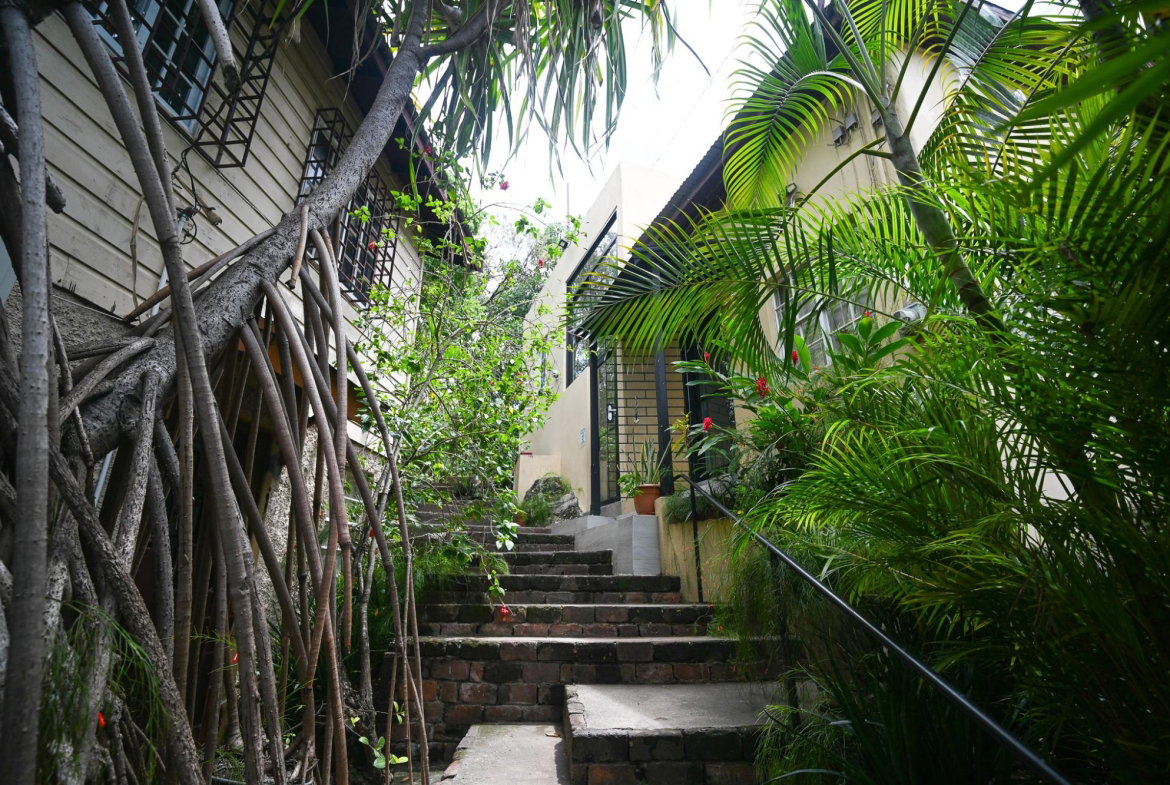 Sixth image of 110 Old Hope Road in Kingston 6, St. Andrew, Jamaica - property is For Sale