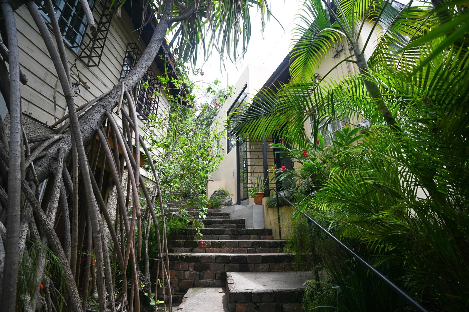 Sixth image of 110 Old Hope Road in Kingston 6, St. Andrew, Jamaica - property is For Sale