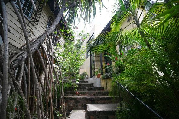 Sixth image of 110 Old Hope Road in Kingston 6, St. Andrew, Jamaica - property is For Sale