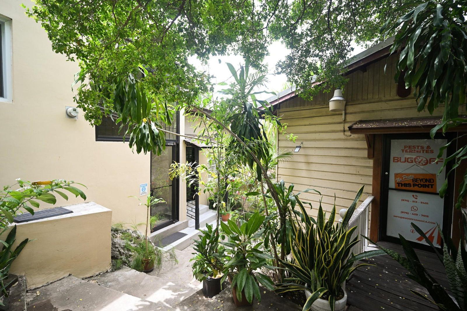 Seventh image of 110 Old Hope Road in Kingston 6, St. Andrew, Jamaica - property is For Sale