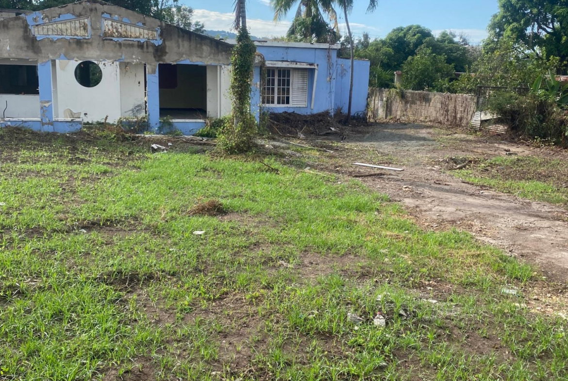 Seventh image of 14 Charlemont Avenue in Kingston 6, St. Andrew, Jamaica - property is For Sale