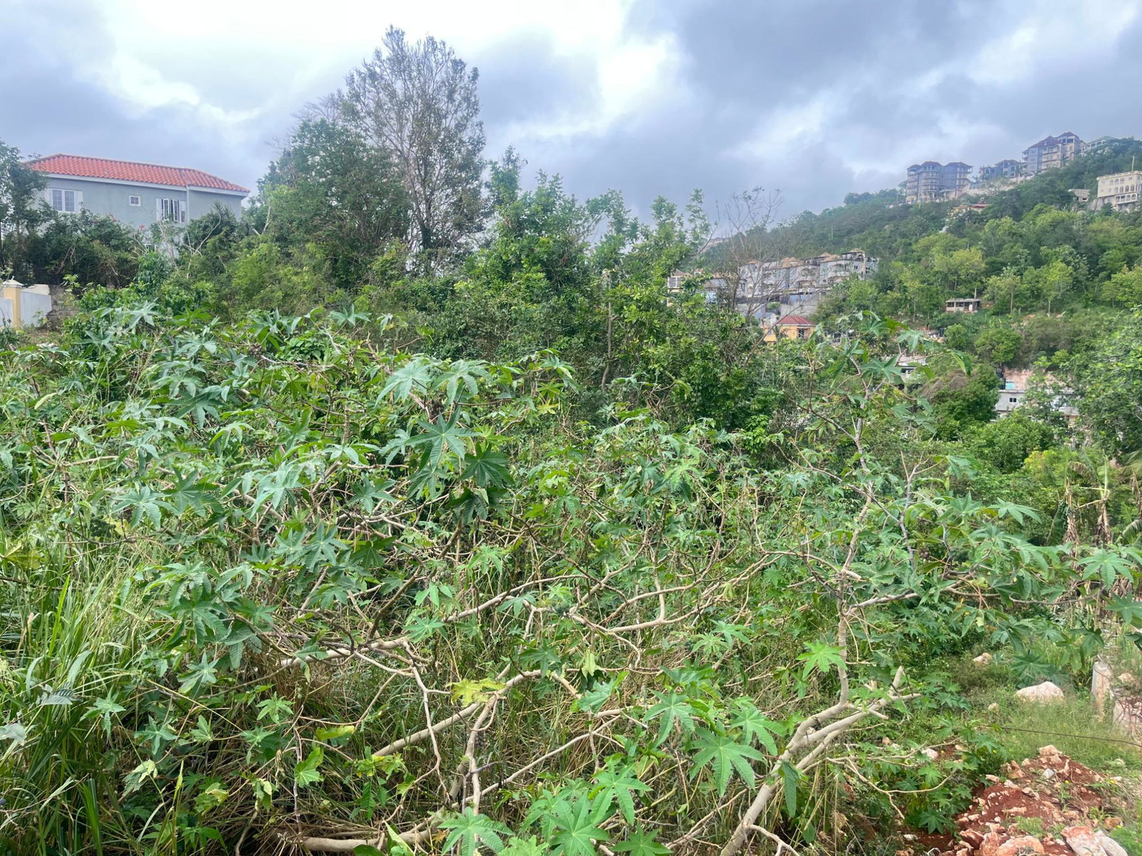 Sixth image of Astoria Drive, Red Hills in Red Hills, St. Andrew, Jamaica - property is For Sale