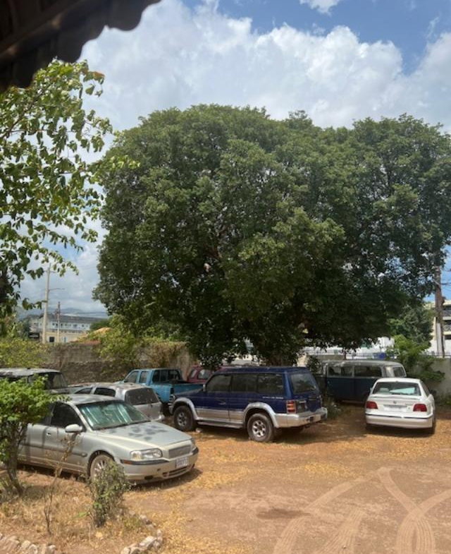 Fifth image of 13 Belmont Road in Kingston 5, St. Andrew, Jamaica - property is For Sale