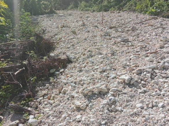 First image of Rooksby Park, Bengal in Falmouth, Trelawny, Jamaica - property is For Rent