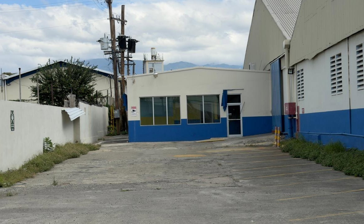 Third image of 16 Ashenheim Road in Kingston 11, St. Andrew, Jamaica - property is For Rent
